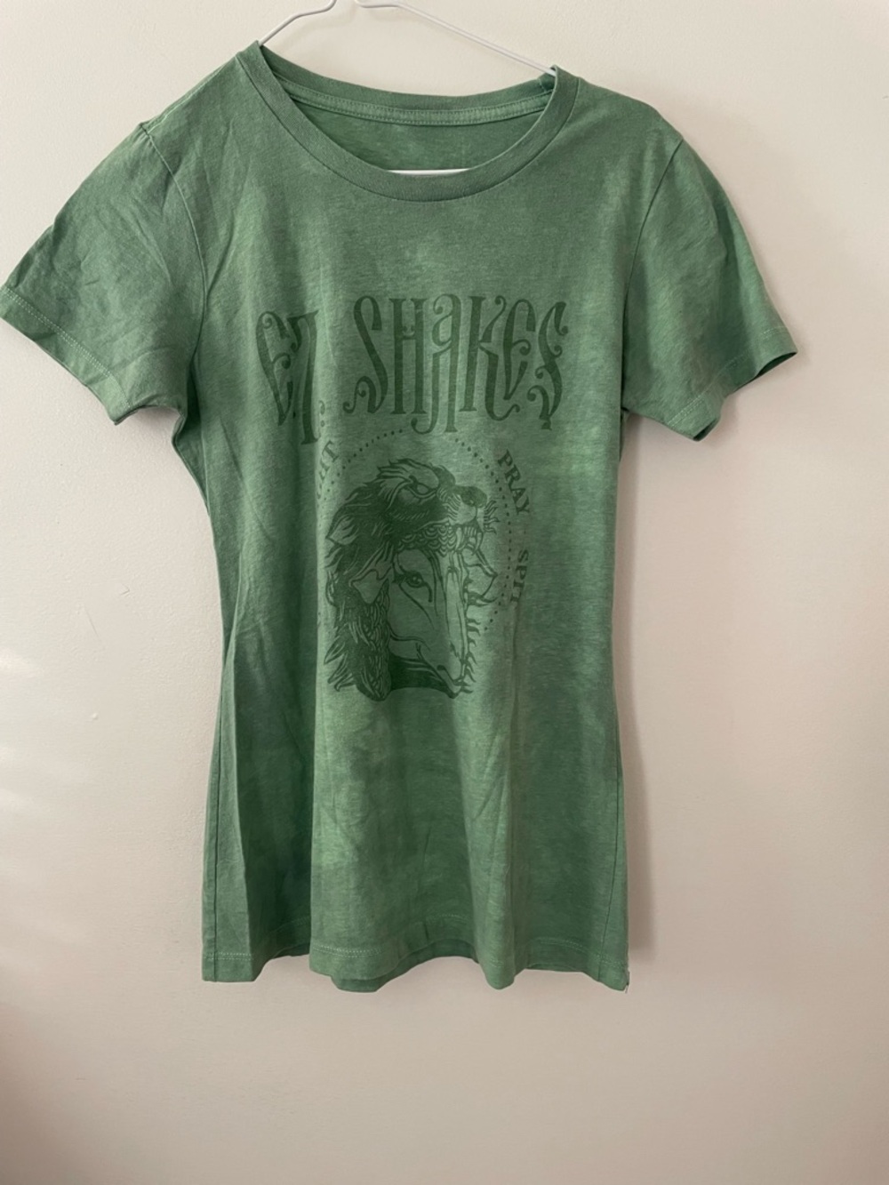 E.Z. Shakes. South Carolina band. Green Graphic T-Shirt with Mythic Lion Print